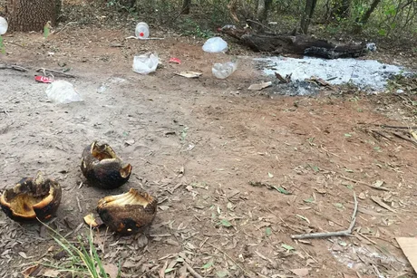 Detectan a un grupo de personas jujeñas que cazaban quirquinchos en Salta