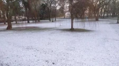 Nevó en Mar del Plata