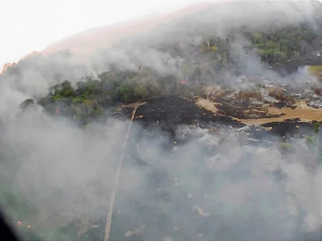 El humo proveniente de la selva amazónica ya cubre gran parte del país