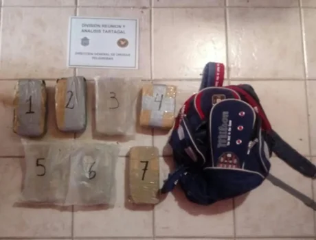 Secuestran más de 7 kilos de cocaína en el norte de Salta