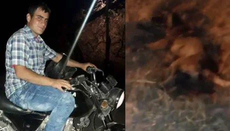 El joven que atacó a un perro con un machete no irá a prisión