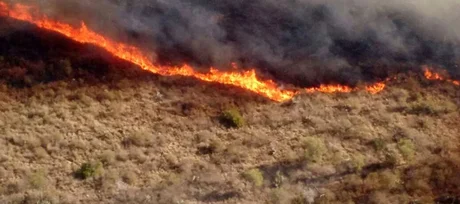 Córdoba atemorizada por un incendio forestal de grandes dimensiones