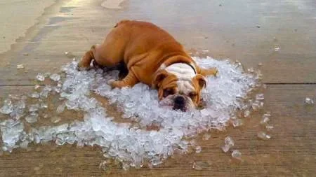 Para el domingo se esperan 38 grados de calor