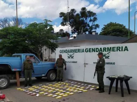 Intentó trasladar hacia Tucumán casi 80 kilos de drogas en su camioneta