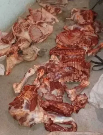 Secuestraron casi 400 kilos de carne no aptas para el consumo en el norte provincial