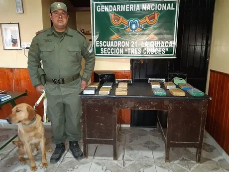 Gracias al perro “Gary” logran secuestrar 12 kilos de cocaína