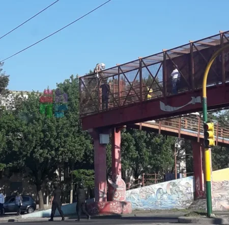 Terminó con su novio e intentó arrojarse desde el puente peatonal de Villa Palacios