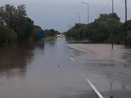 Una fuerte tormenta provocó destrozos en El Tala