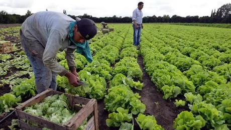 Trabajadores rurales recibirán el aumento de 4 mil pesos