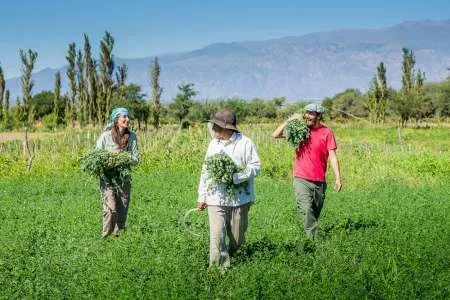 Turismo rural: Salta propone esa nueva experiencia