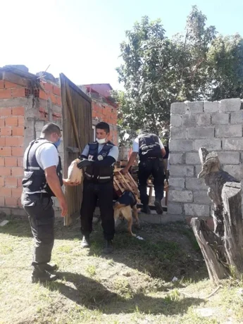 Con perros realizan la búsqueda del joven Franco Cuellar