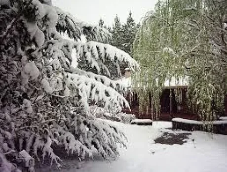 Se registraron las primeras nevadas en Catamarca y Tucumán