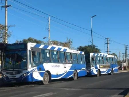 Cómo debe hacer el personal de la salud para viajar gratis en colectivo