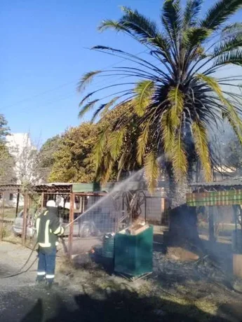 Lo que el viento nos dejó: caída de árboles, postes e incendio de pastizales