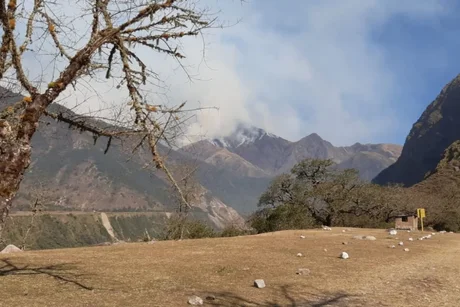 Combaten un fuerte incendio forestal en Orán