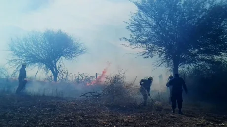 Incendio forestal arrasa con 25 hectáreas de campo en Cachi