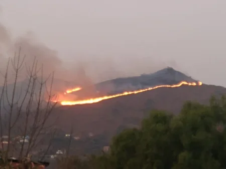 Impactantes imágenes del incendio en los cerros de Vaqueros