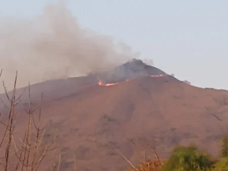 Según un informe nacional, Salta es la provincia más afectada con incendios forestales