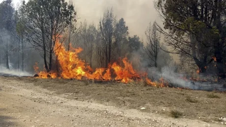 Salta y Jujuy mantienen focos de incendios activos