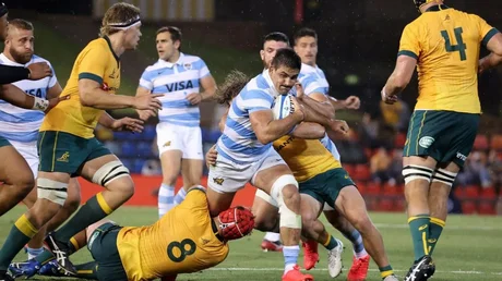 Los Pumas empataron con Australia