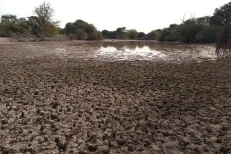 Nación decretó la emergencia agropecuaria para dos departamentos de Salta