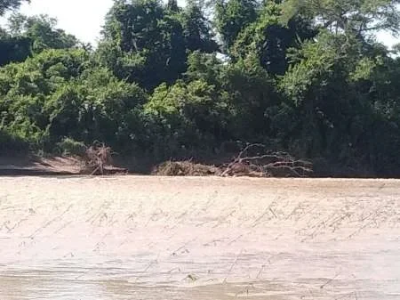 Para evitar inundaciones controlar el cause de los ríos Pilcomayo y Bermejo