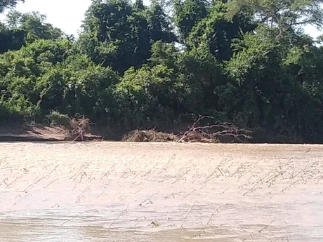 Una tragedia sacude a Salta: 4 personas fueron arrastradas por el río Bermejo y hay un muerto