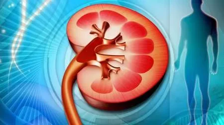 En Salta hay 143 pacientes en espera de trasplante renal