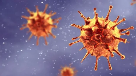 Detectan una nueva variante del coronavirus: se detectó en Francia y se llama IHU