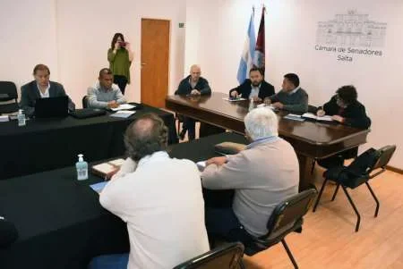 REMSA detalló en el Senado el trabajo que se desarrolla en las áreas de minería y energía