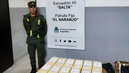 Secuestran 16 kilos de cocaína, dólares, reales y otros elementos en Salta