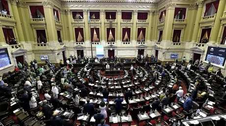 Ningún salteño pudo tener asistencia perfecta en la Cámara de Diputados de la Nación