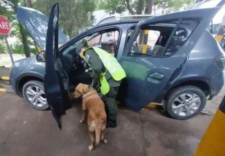 Gracias a "Ziro" incautaron casi 15 kilos de cocaína en el norte de Salta