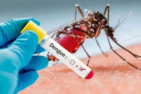 Este año se registraron más de 134.000 casos de dengue y 68 muertes en todo país