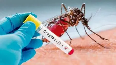 El Ministerio de Salud de la Nación advierte sobre una posible propagación de casos de dengue