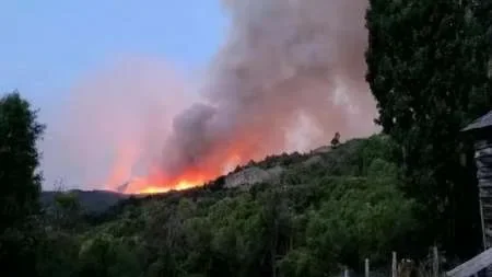 Ya son más de dos mil las hectáreas incendiadas en el Parque Los Alerces