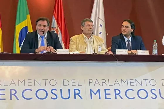 Olmedo resistió como presidente del Parlasur, pero es cuestionado por las delegaciones de otro países