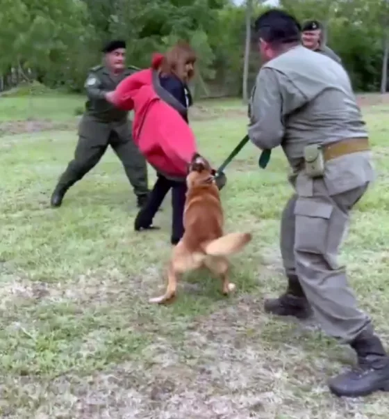 Puede fallar: Patricia Bullrich hizo una demostración donde fue atacada por un perro de seguridad