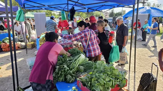 La próxima semana vuelve “El mercado en tu barrio”: mirá a dónde va estar