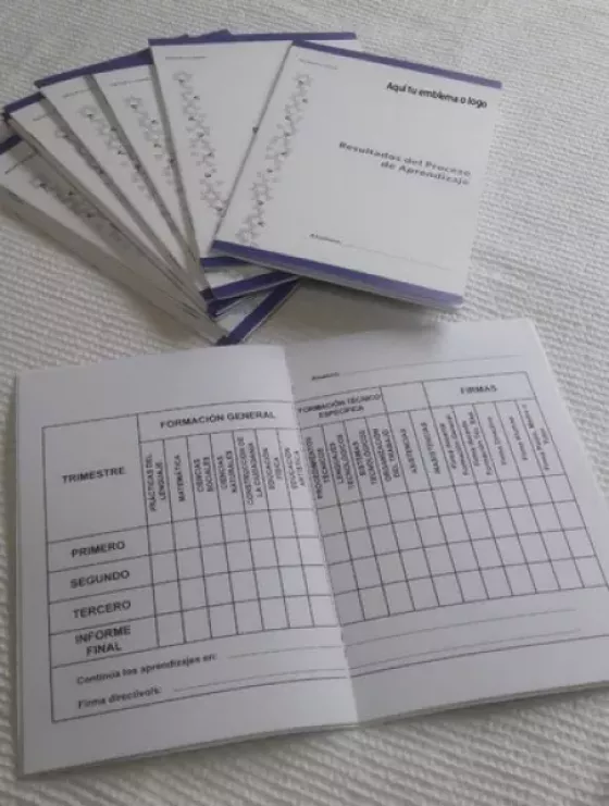 En Salta se implementará el boletín de calificaciones digital