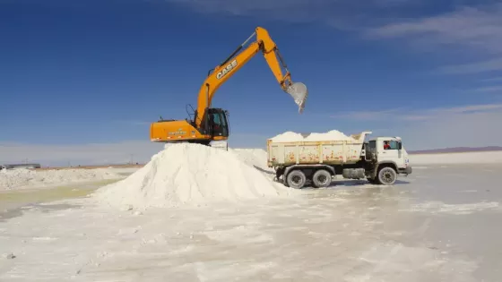 En julio se licitará en Salta la superficie más grande del país para la explotación de litio