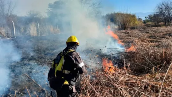 Bomberos lograron controlar un importante incendio de pastizales en zona sudeste de la ciudad