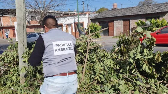 Sancionan a un salteño por poda ilegal y conformación de microbasural