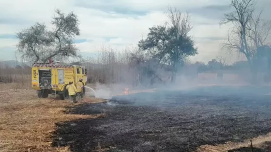 Defensa Civil sofocó varios incendios forestales en distintos puntos de la ciudad