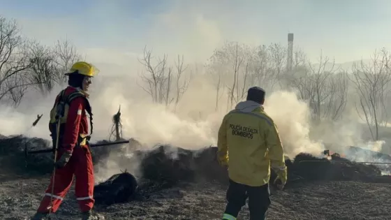 Bomberos sofocaron un importante incendio forestal en zona sudeste de la ciudad