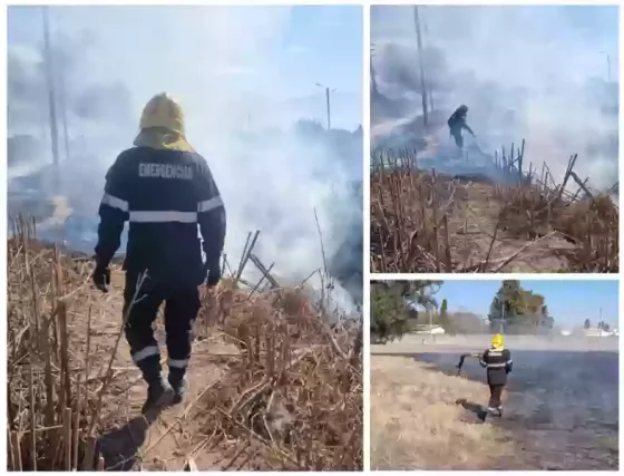 Hasta mañana se mantiene la alerta “extrema” por incendios forestales