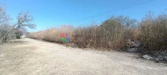 Preocupación de vecinos de barrio San Nicolás: un baldío en la zona pone en riesgo sus casas