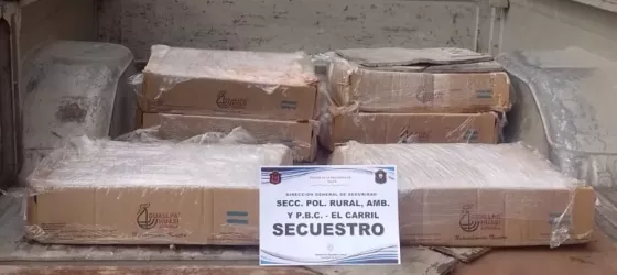 Secuestran más de 120 kilos de carne en pésimo estado: iba derecho a comercializarse