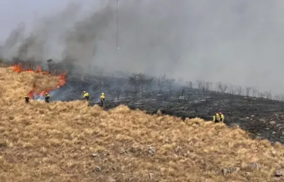 Intenso operativo para sofocar un incendio forestal en Vaqueros