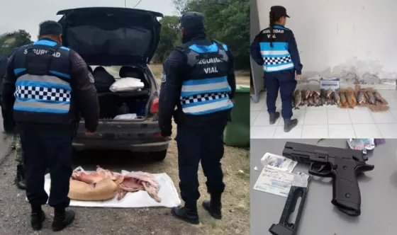 En diferentes operativos, la policía vial secuestró alimentos en mal estado y una réplica de arma de fuego